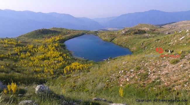 Dikkat ! Kartal Gölü can çekişiyor