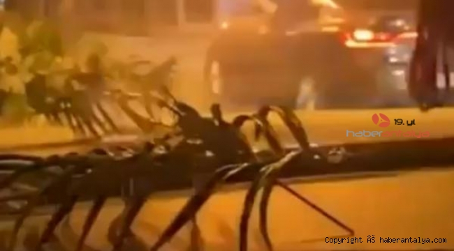 Düğün magandaları yine iş başında !