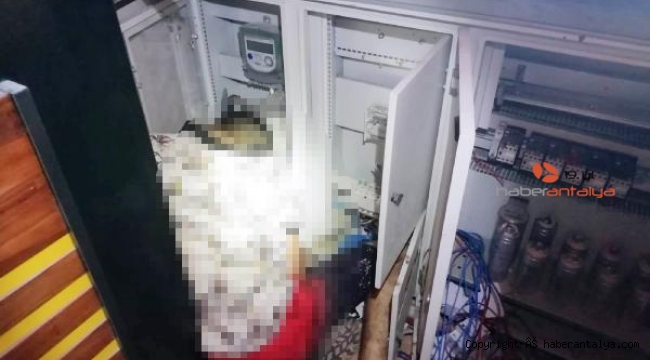 Kablo hırsızlığı için girdiği iş yerinde akıma kapılıp öldü !
