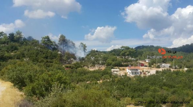 Kaş'ta orman yangını ! 