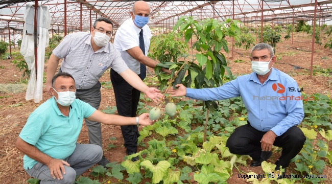 Maliyet artışı çiftçiye 'değişimi' zorunlu kıldı