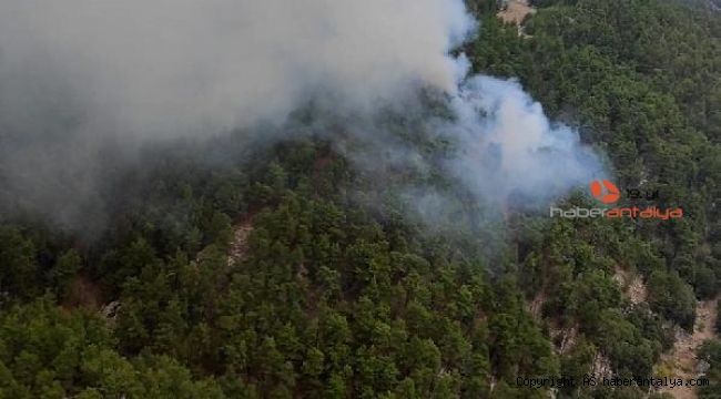 Manavgat'ta orman yangını; 5 saatte kontrol altına alınabildi !