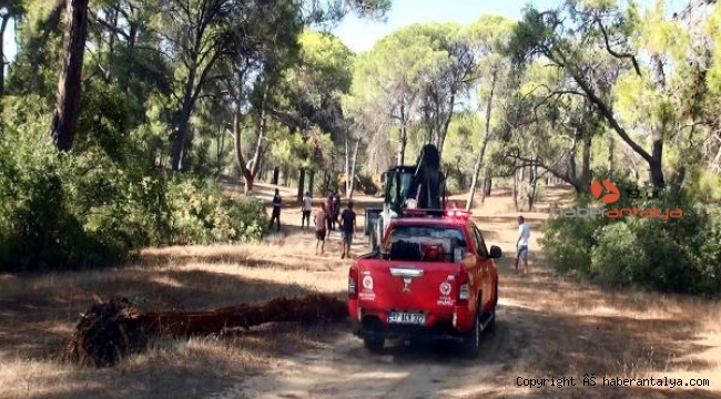 Manavgat'ta ormanı yakarken yakalandı !