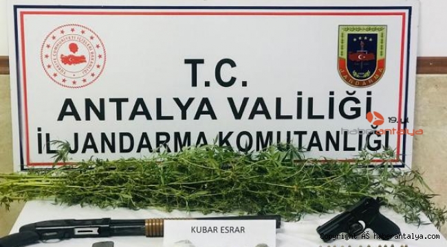 Manavgat'ta uyuşturucu operasyonu