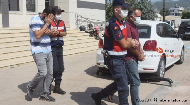 22 bin liralık avokado hırsızları tutuklandı