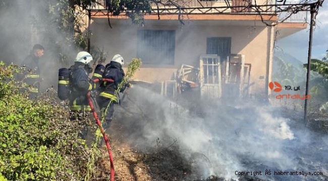 Alanya'da çalılık yangını korkuttu