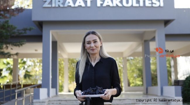 Antalya'nın 'süper meyvesi' Aronya, pandeminin gözdesi 