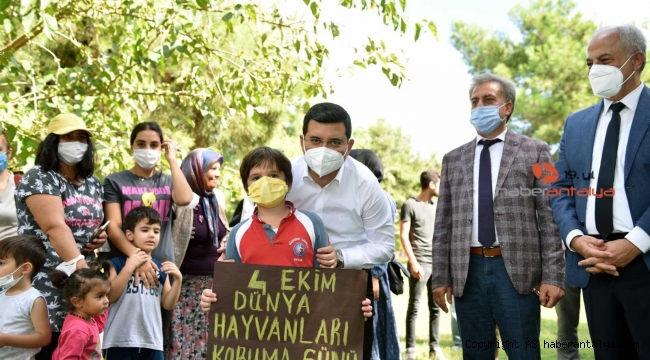 Kepez'e hayvan hastanesi yapılacak