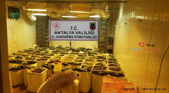 Konteyneri uyuşturucu serasına dönüştürmüşler !