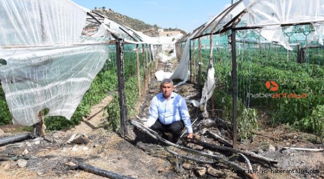 Kumluca'da dev seranın plastik örtüsü yandı