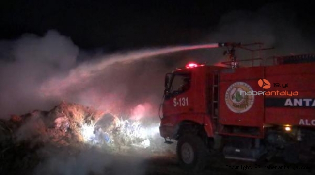 Manavgat'ta sazlık yangını korkuttu 