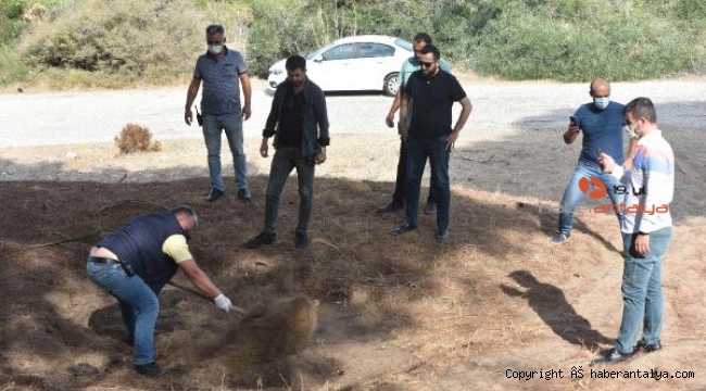 Mezar ihbarı boş çıkınca ekipler çukuru kapatıp döndü