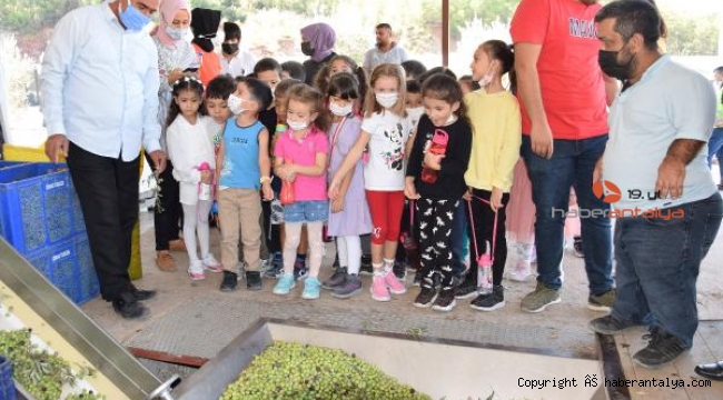 Minikler zeytinyağı fabrikasını gezdi