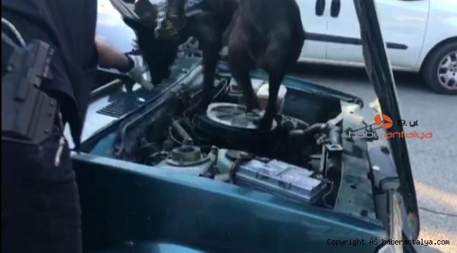 Polisten kaçan sürücünün otomobilinde uyuşturucu bulundu