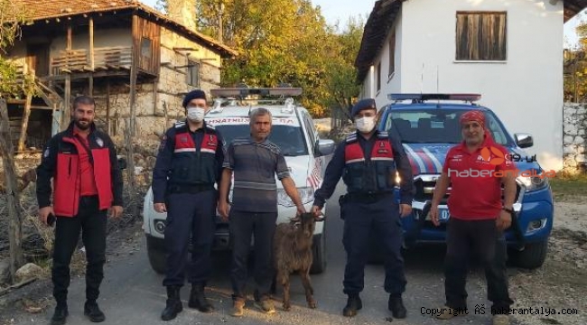 1 hafta uçurumda mahsur kaldı