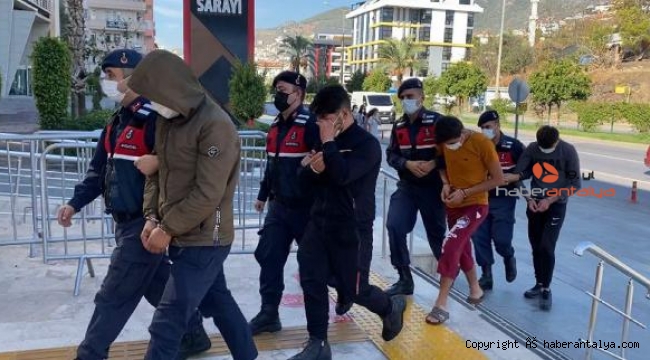 100 bin liralık avokado çalan kişiler yakalandı