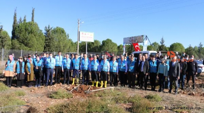 Adalet Ormanı'na 300 fidan dikildi