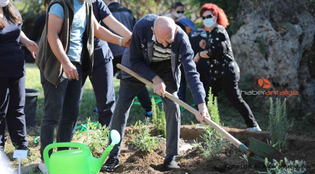 Alzehimer hastaları tıbbi aromatik bitkiler dikti