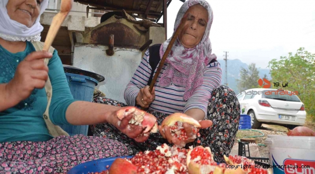 Antalya'da nar ekşisinin şifalı yolculuğu başladı