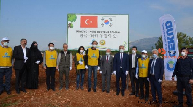 Antalya'da 'Türkiye- Kore Dostluk Ormanı' için ilk fidanlar toprakla buluşturuldu