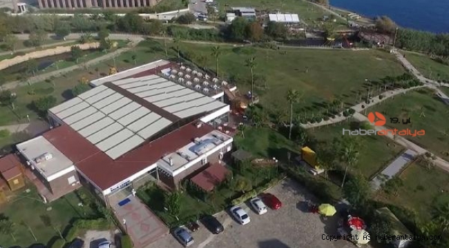 Balık yerine tatlı yedi, otopark ücreti ödemek zorunda kaldı