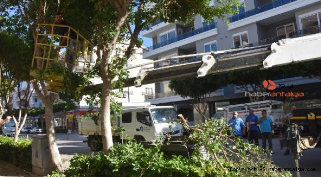 Demre'de kış hazırlığı