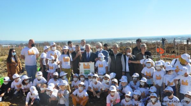 Fidan dikimi yapılan Manavgat'ta orman yangını