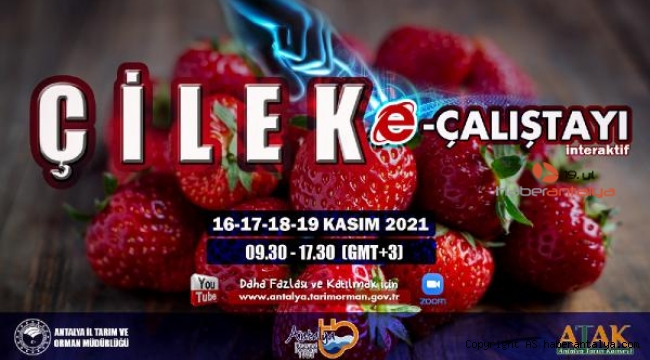Fideden sofraya çilek konuşulacak