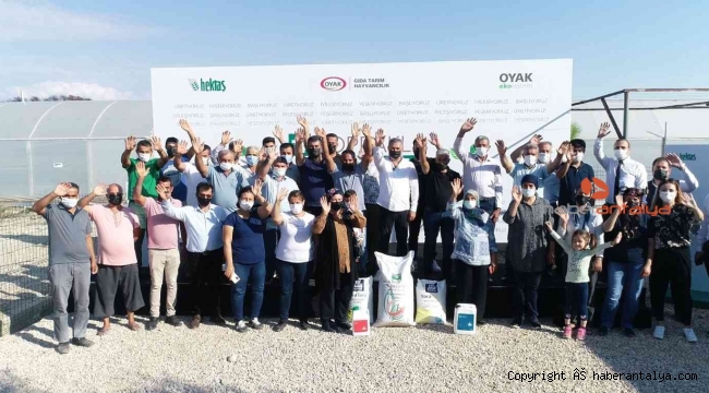 HEKTAŞ, orman yangınlarından etkilenen üreticiler için proje başlattı