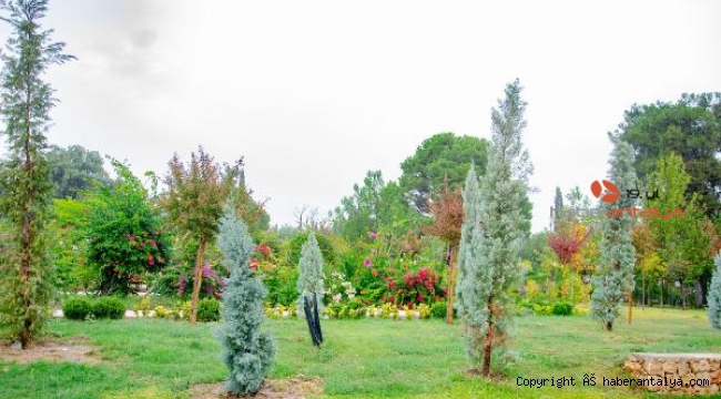Kepez Botanik Park, yağmurla tablo gibi oldu
