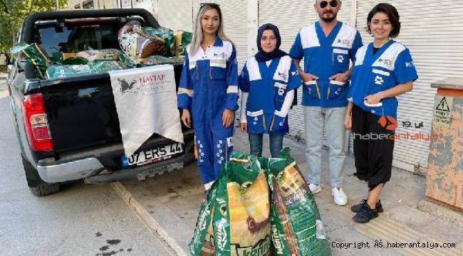 Kırsalda yaşayan hayvanlara 2.5 ton mama