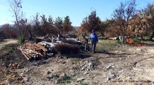 Manavgat yangını sonrası yıkılan 210 evde hisseli tapu sorunu