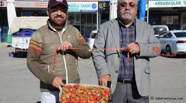Mevsimin ilk çileği halde. Bakın fiyatı ne kadar ?