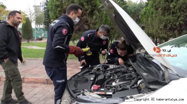 Otomobilin motoruna giren kedi itfaiyeyi seferber etti