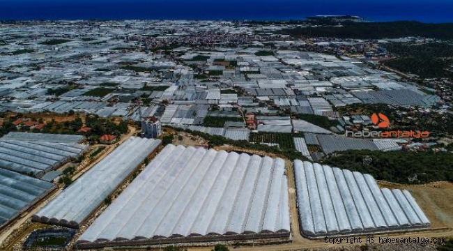 Türkiye örtü altı üretim alanı 80 milyon metrekareyi aştı 