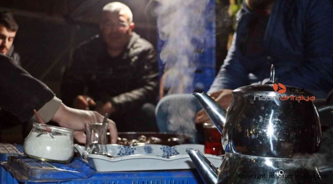 Antalya'daki çiftçilerin çaylı kestaneli 'soğuk nöbeti' başladı