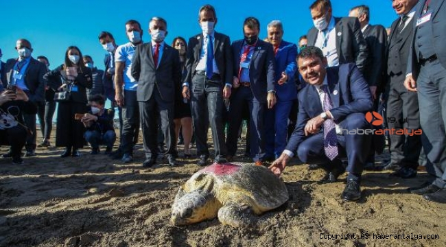 Bakan Kurum: Plastikler, deniz canlılarımızı tehdit ediyor
