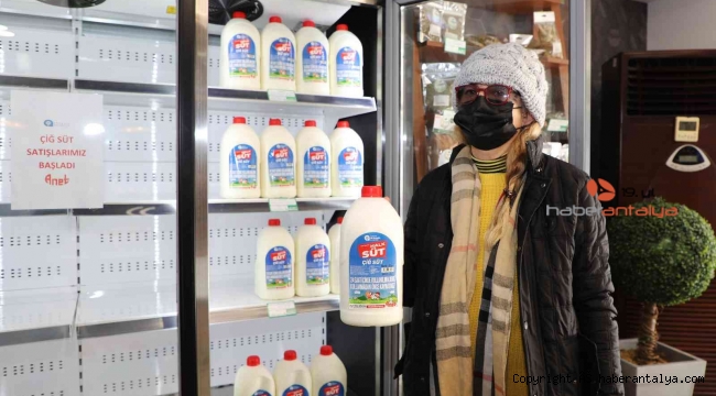 Büyükşehir çiğ Halk Süt satışına başladı