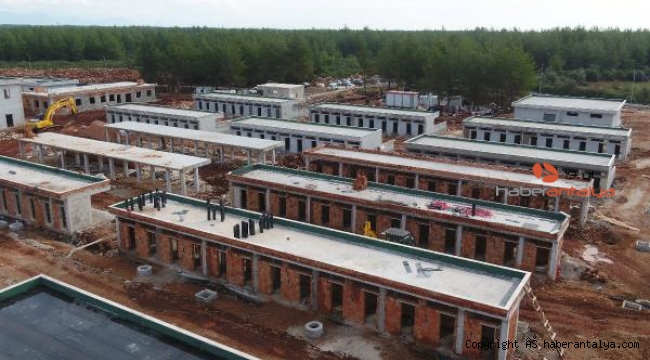 Büyükşehir Sokak Hayvanları Bakım Evi Projesi hızla sürüyor