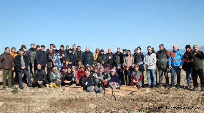 FAO üyesi ülkelerden ormancılar Manavgat'ta yanan ormanları inceledi