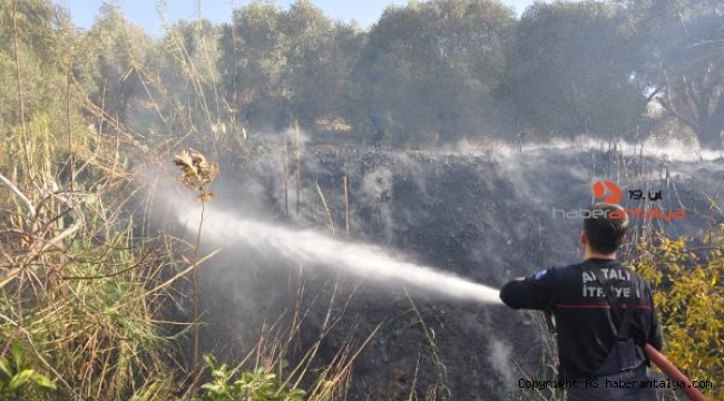 Gazipaşa'da çalılık yangını korkuttu