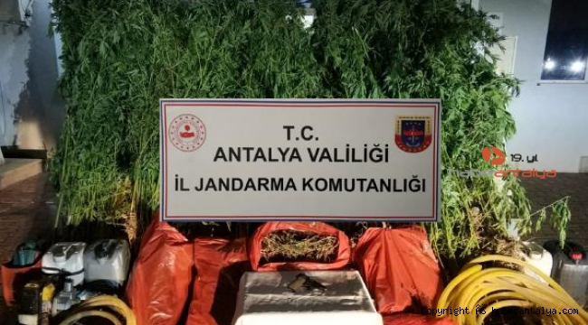 Jandarma uyuşturucuya geçit vermiyor