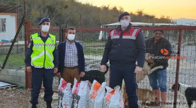 Jandarmadan hayvanlara mama yardımı