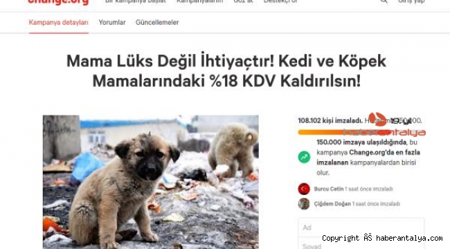 Kedi- köpek mamalarındaki KDV'nin kaldırılması için imza kampanyası