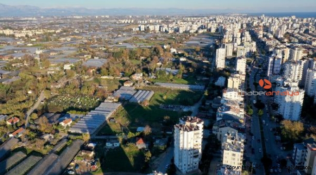 Kırcamililer sandık başında