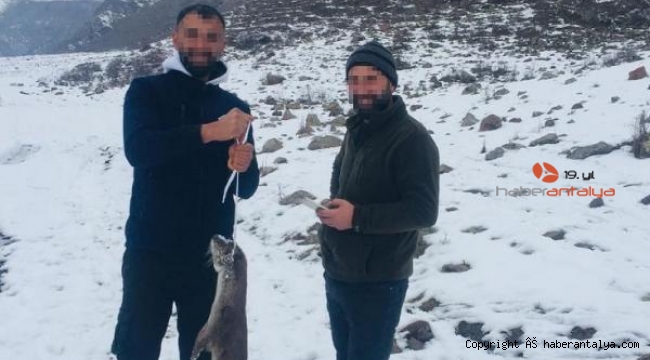 Koruma altındaki su samurunu avlayanların izini sürüp, ceza almalarını sağladı