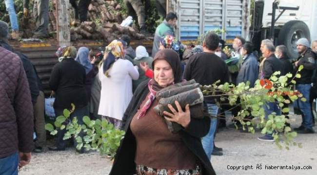 Manavgat Orman İşletme 20 binin üzerinde fidan dağıttı