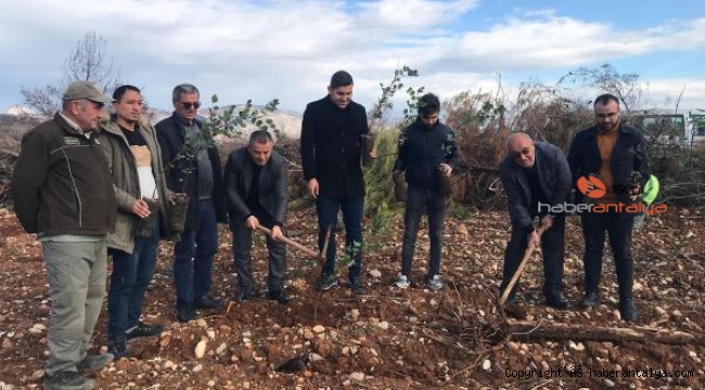 Manavgat'ta yaralar sarılıyor