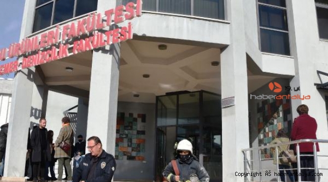 Akdeniz Üniversitesi Su Ürünleri Fakültesi'nde yangın