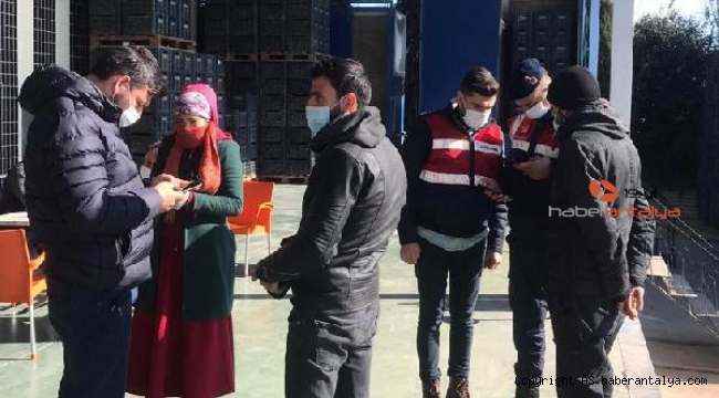 Antalya'da 'Düzensiz Göçle Mücadeleye Yönelik Huzur ve Güven' uygulaması